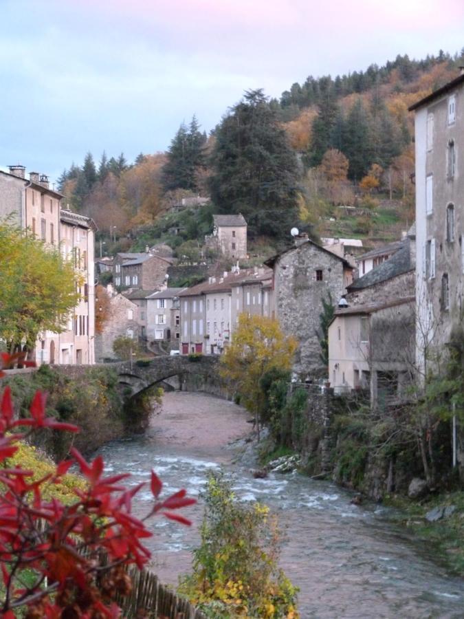 Saint-André-de-Valborgne Cocon Des Cevennes - Pierre De Lune المظهر الخارجي الصورة